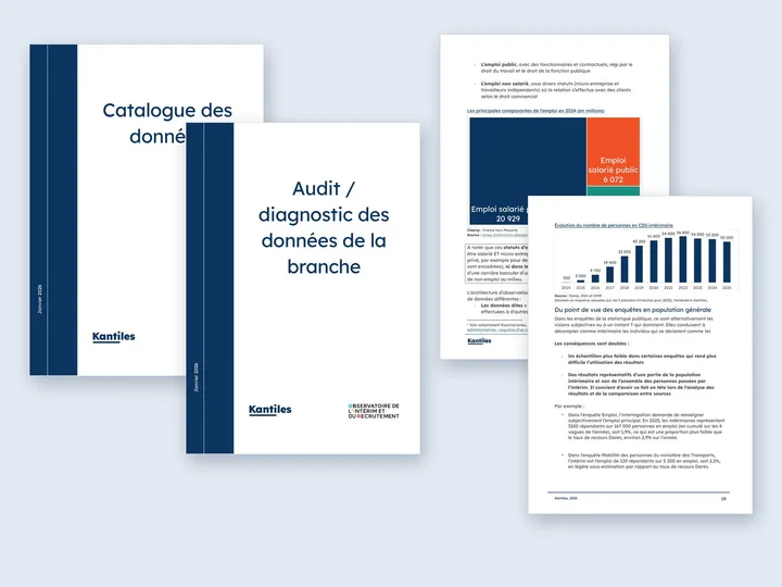 Les couvertures du catalogue des données et du rapport d'audit, et deux pages de graphiques sur l'emploi intérimaire
